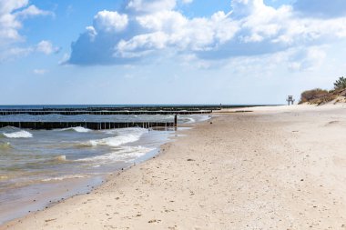 baltic beach denizde uçan kuşlar