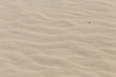 Doğal arka plan olarak kullanım alanındaki kumlu plajın harmonik deseni