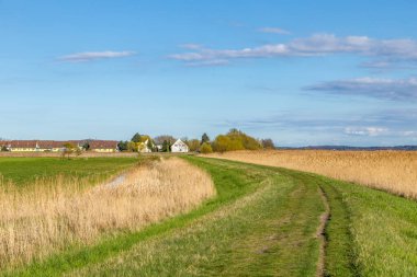 Kırsal alanda tarlalar ve ağaçlar mavi gökyüzünün altında ufukta evler, Almanya