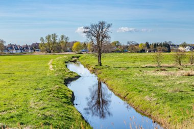 Zinnowitz içinde kırsal manzara içinde küçük dere