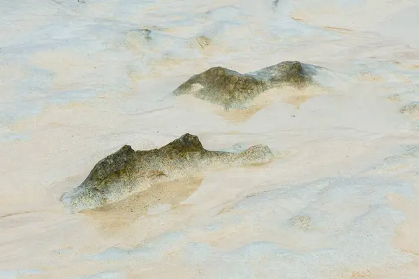 Scenic Beach Dunes Created Low Tide — Stock Photo, Image