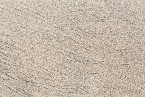 Background Wet Sandy Beach Detail — Stock Photo, Image