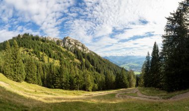 Allgau bölgesinde yeşil çayırları ve yeşil ormanları olan manzaralı Allgau manzarası, Bavyera, Almanya