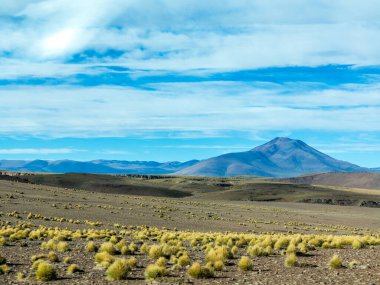 Güney Amerika, Bolivya 'nın altiplano bölgesinde manzaralı Laguna Celeste