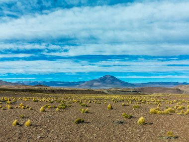 Bolivya 'daki Atakama Çölü' nden Lama geçidini imzala
