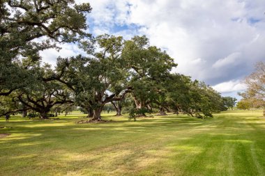Güney çiftlik evinin manzaralı meşe yolu kölelik zamanından, Louisiana, ABD