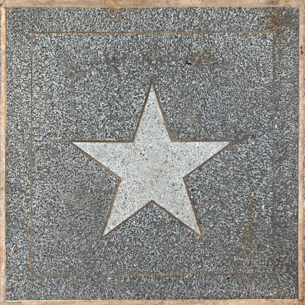 Остин Техас Ноября 2023 Года Звезда Сэм Хьюстон Прогулке Звезд — стоковое фото