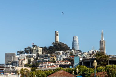 San Francisco 'nun ufuk çizgisi gökdelen ve piramit ile sabahın erken saatlerinde iskele 36, ABD' den görüldü.