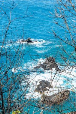 Fernando de Noronha, Brezilya. Önplanda bitkilerle Morro dos Dois Irmaos manzarası.
