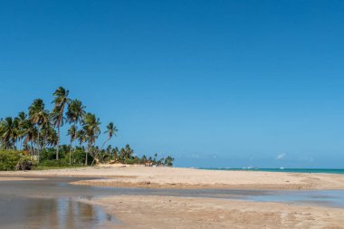 Maracaipe, Brezilya 'da insanların olmadığı güzel kumlu bir plaj.