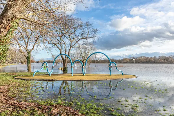 Наводнение Реке Рейн Элтвилле Гессен Германия Затопленной Детской Площадкой — стоковое фото