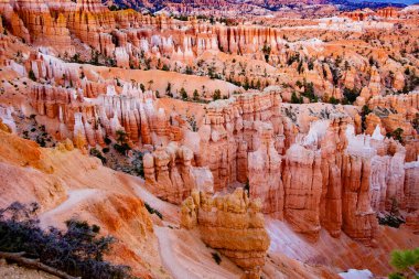 Öğleden sonra güneşli Bryce Kanyonu, ABD