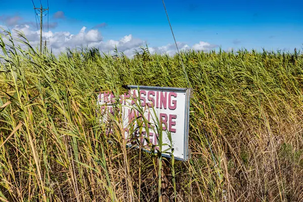 Sign Trespassing Fine Executed Field Coast Galveston Texas Usa — Stock Photo, Image