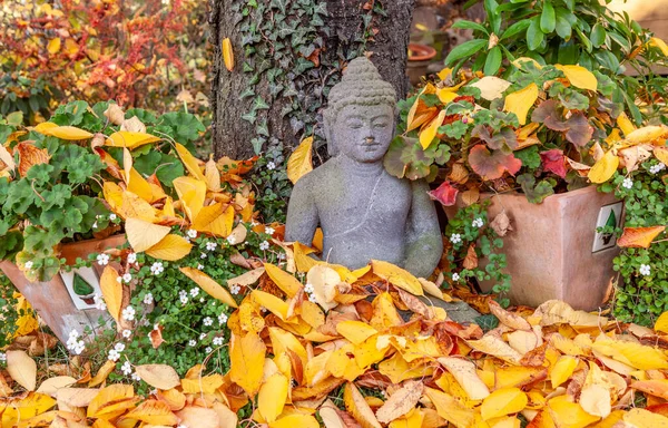 Statua Pietra Buddha Appoggiata Vecchio Albero Nel Giardino Autunnale — Foto Stock
