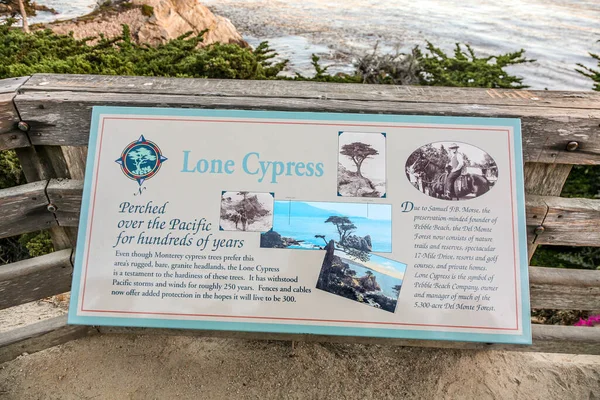 Pebble Beach Usa July 2008 Lone Cypress Tree 250 Years — Stock Photo, Image