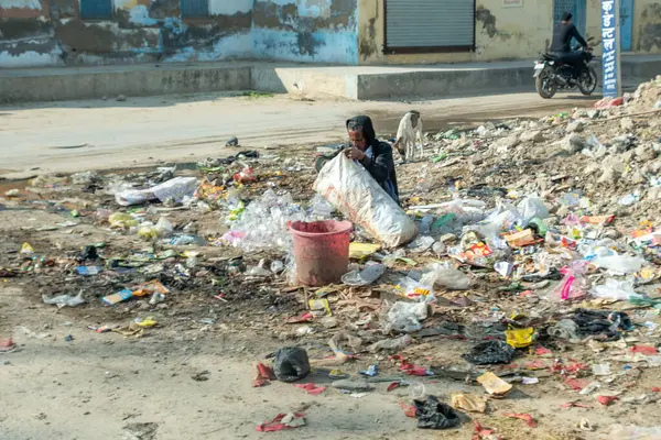 Rajasthan India February 2024 Man Collects Plastic Bags Garbage Place — Stock Photo, Image
