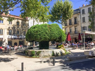 Salon-de-Provence, Fransa - 21 Ağustos 2016: Fransa 'nın Nostradamus kenti Provence' deki mantar çeşmesine de yosun çeşmesi adı verildi..