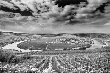 Trittenheim, Almanya 'daki ünlü Moselle Sinuosity