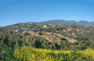 Ormanları ve tepeleriyle Santa Barbara manzarası, Kaliforniya, ABD