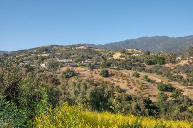 Ormanları ve tepeleriyle Santa Barbara manzarası, Kaliforniya, ABD