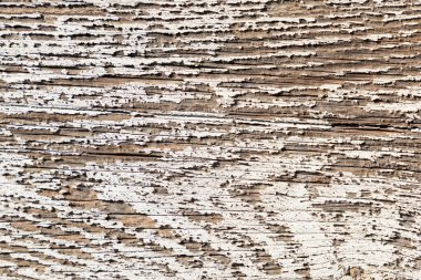 Harmonik desenli eski çürük ahşap duvar kabuğu soyulmuş beyaz boya.