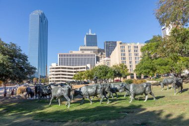 Dallas, Teksas, ABD 'de öğleden sonra gökyüzü manzaralı.