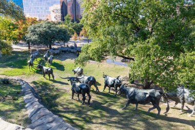 Dallas, ABD - 6 Kasım 2023: Dallas, Teksas 'taki Pioneer Plaza' da bir dereden geçen Longhorn sığır sürüsünün heykeli.