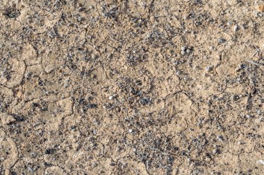 Lanzarote 'deki çöl manzarasında kurumuş böğürtlenlerle birlikte sahildeki kireç çatlamış. Kurumuş zemini arka plan olarak sembolize ediyor.