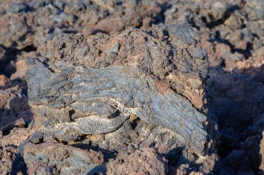 Timanfaya Milli Parkı, Lanzarote soğuk lav akışı arka plan