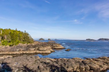 Kanadanın Vancouver Adası 'ndaki Wild Pacific Patikası' ndan görülebilen güçlü sörf ve yeşil bitkilerle dolu sert sahil manzarası.