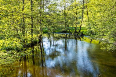 small creek hafenlohr flows through the dense wild forest in Bavaria, Germany clipart