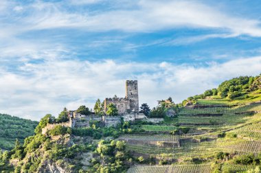 Ren Vadisi 'nin güzel panoramik manzarası ve Kaub' daki Gutenberg Şatosu. Unesco Dünya Mirası Bölgesi.