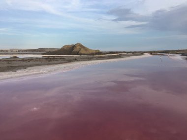 salin de aigues-mortes in the Camarque, France with colorful red water clipart