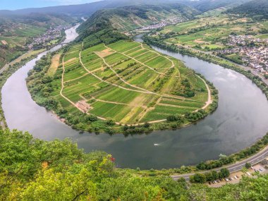 mosel bend at trittenheim, famous Moselle loop, Trittenheim, Germany clipart