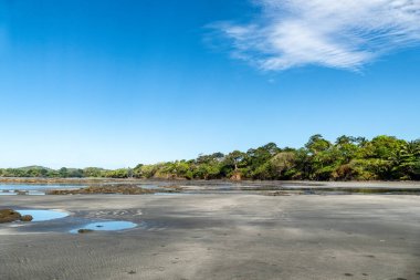 Panama 'da Cavolebora' da ormanın yakınında güzel kumlu bir sahil.