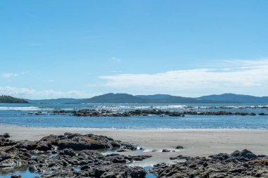 scenic fine sandy beach at Cavolebora in Panama with nearby jungle clipart