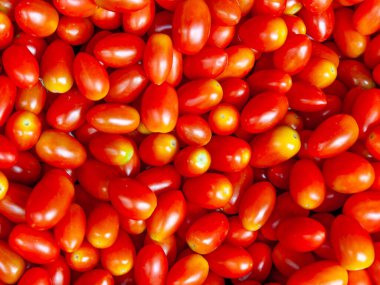 Çiçekçide taze domates.