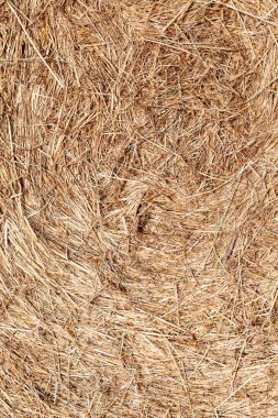 altın renkte saman balya detay