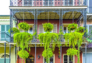 tipik demir balkon New Orleans eski bölümü yeşil çiçekli