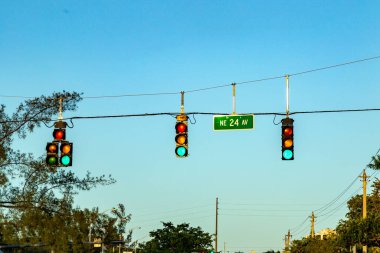 Miami, ABD 'de trafik ışığı ve sokak levhası 24.