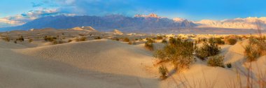 beautiful Mesquite flats in the death valley desert in sunset light clipart