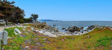 scenic landscape at pescadero point at seventeen mile drive near Pebble Beach, California, USA clipart