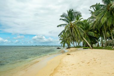 Panama 'daki San Lorenzo Kalesi' nde tropik plaj manzarası