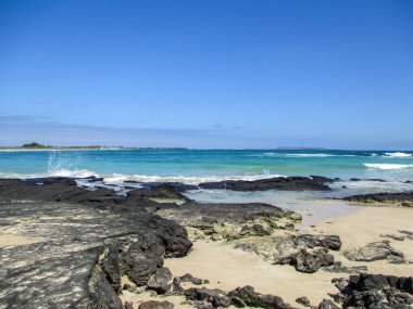 Galapagos arşivindeki Isalela adasındaki manzaralı plaj, Ekvador