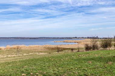 Almanya 'nın Usedom kentindeki Kullanım Köyü yakınlarındaki achterwasser' da manzaralı düz sazlık manzarası
