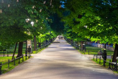 Geceleri Polonya, Krakow 'daki doğal bitki parkı