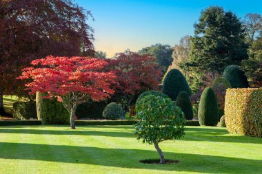 Perthshire, İskoçya, İngiltere 'de Crieff yakınlarındaki Drummond Kalesi bahçesi