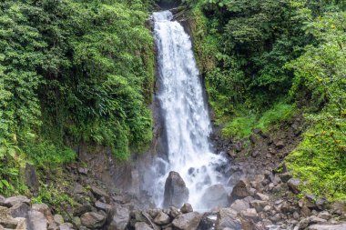 Dominica 'da güzel bir şelale, Trafalgar Şelalesi, Karayip Adası. Göz kamaştırıcı şelalesi, yeşil doğa manzarası ve kayaları olan parlak ve renkli bir görüntü. Dominica, Karayipler 'deki Trafalgar Şelaleleri