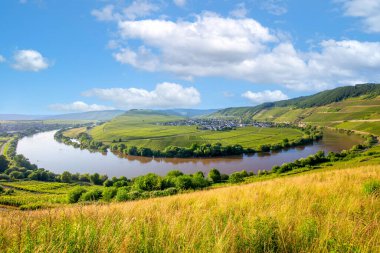 Almanya 'nın Trittenheim kentindeki ünlü Moselle nehir kıvrımı.