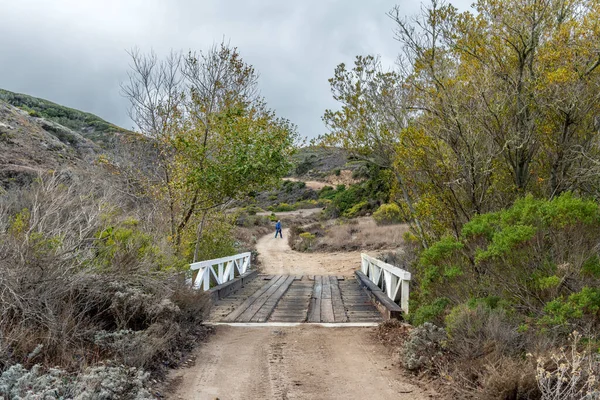位于加利福尼亚海峡群岛的圣罗莎岛上 一座与土轨相连的木桥开始了徒步行走 — 图库照片